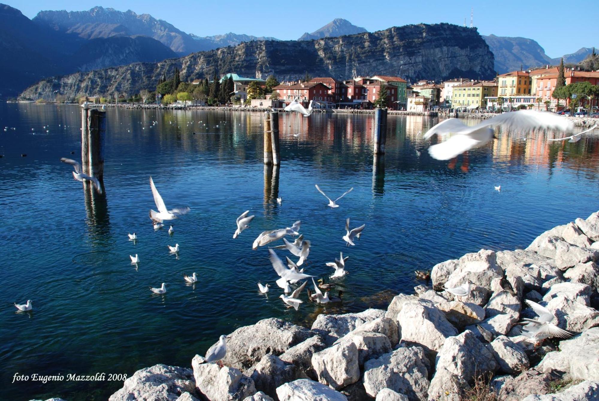Casa Marco Lägenhet Torbole Sul Garda Exteriör bild